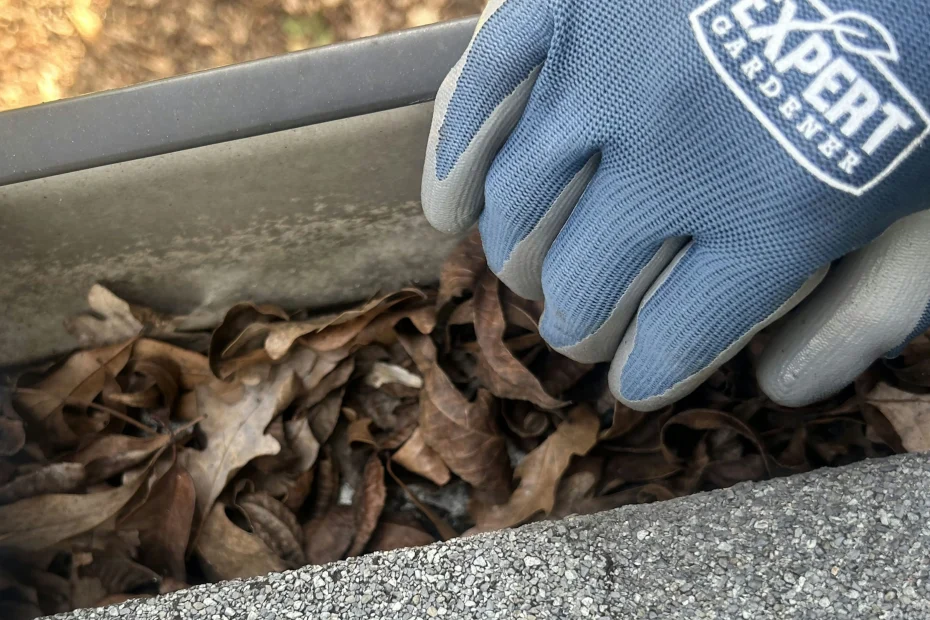 Gutter Cleaning Fort Myers Beach FL