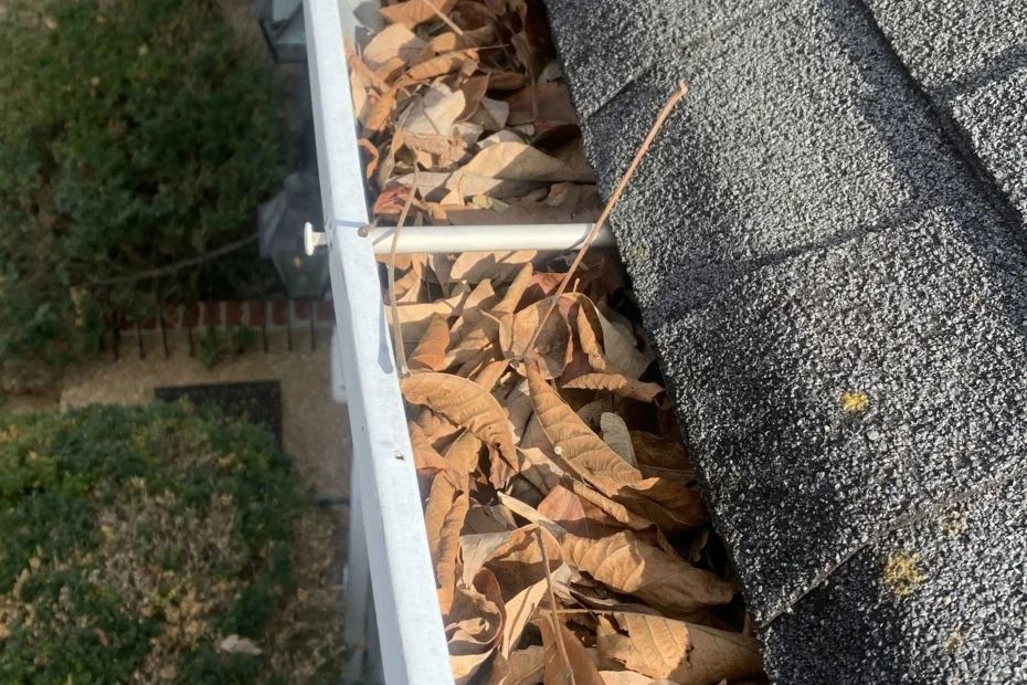 Gutter Cleaning Fort Myers Beach FL