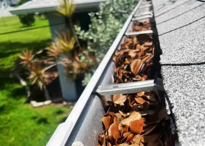 Gutter Cleaning Fort Myers Beach FL home page